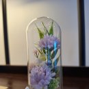 전주 반려동물장례식장 아리움 이미지