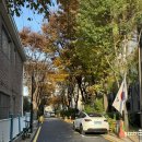 청춘식당 서정점 | 2025 김동률 콘서트 <산책>