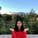 해리스테이 펜션 | [제주동쪽] 다랑쉬오름,비자림근처 스파펜션 캠프해리_한달살기/가족 감성 가성비 숙소 추천