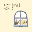 통영횟집 추천 만월다찌에서 제대로 즐긴 통영다찌집 맛집