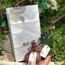 동보무역 | [리뷰] 서울 여의도 더현대 찹쌀떡 맛집 "한정선" 내돈내산 후기 l 메뉴, 가격 정보