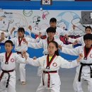 강철 용인대 태권도장 이미지