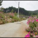 한티별빛아래관광농원야영장 이미지