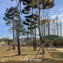 동일교차로 4 이미지