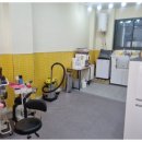 도그도감 이미지