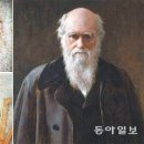 다빈치 이미지