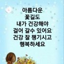 원예공예교실 이미지