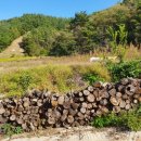 부산리 농장 이미지