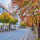 대전역 근처 회의공간 애트_AT
