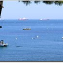 오동도로 이미지