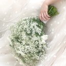 예진꽃화원 | 웨딩촬영 아키스튜디오/정샘물 촬영 후기