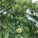 오브제토 이미지