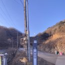 우다다애견 이미지