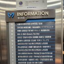 뷰티더코발트 | 강남 피부관리 뷰티더엘라 등관리 솔직후기