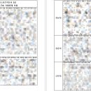 진흥카 | [2026 생활스포츠지도사 | 보디빌딩] 실기/구술 기출 공유+비전공자 합격후기