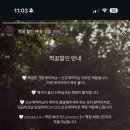 3674 | W4. 대전 아이폰스냅 [세러데이스냅] 계약 (짝꿍 완료!)