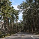 아이스뮤지엄 이미지