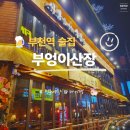 부엉이산장부천역점 | 부천역 술집 | 부엉이산장 부천역점 먹방 후기