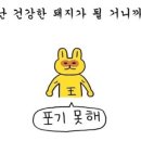 영산포풍물시장 이미지