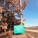 황금이식물원 | 천안근교여행 천안볼거리 아산식물원 "세계꽃식물원 리아프가든센터"