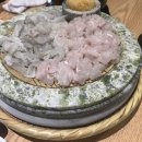 황금손 유쾌한 회 세꼬시 이미지