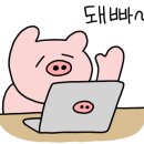사라스킨앤왁싱