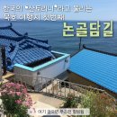 논골공영주차장 | 여행] 묵호 논골담길 완벽 코스 추천ㅣ103 lab카페 부터 말똥도나스 논골, 묵호등다카페까지 인생샷 투어
