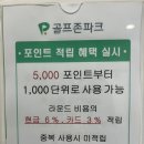 럭스 골프존 이미지