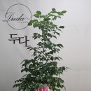 무성 건축사 사무소 이미지