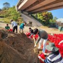 마을안길 이미지