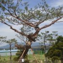 현제농장 이미지