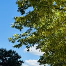 의료자산관리컨설턴트(주) 이미지