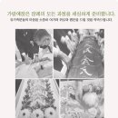 가람프라자 이미지