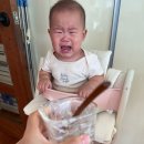 하루세끼도시락 | 9개월 아기 이유식 하루 세끼 후기이유식 간식 스케줄