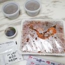 안영애해물나라찜마을 이미지