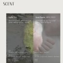 하타 | 차량방향제 추천 오래 머무는 은은한 향 르주르 퍼퓸 사쉐 하타 후기