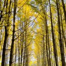 도리내마을 이미지