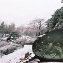 춘하추동 이미지