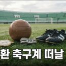 (주)정성종합목재(1종) | 안산 선부동 시로네 방문 전 체크할 정보와 배경