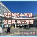 [주말]보테니컬 아트 | 설 연휴 가볼만한곳 추천! 국립세종수목원 무료 개방