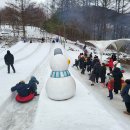[240203 태백산눈축제 방문후기]