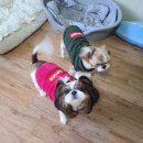 안녕, 뭉실 이미지