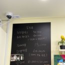 고양이 무마취 미용 냥털도둑 | 강서구 고양이 무마취 미용 냥털도둑 내돈내산 방문 후기