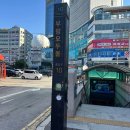 인류평화를 위해 DMZ 피스트레인 페스티벌은 없어지면 안 된다. | 2026 DMZ 피스트레인 페스티벌 후기