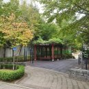 그린빌공인중개사사무소 이미지