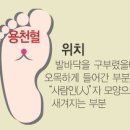 용천만물 이미지