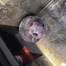 시그니처코인노래연습장 이미지