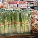 Election watchdog tells voters not to bring leeks 선관위, 투표장에 파를 가져오지 말것을 공지 이미지