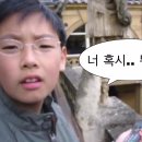 풍년집 이미지