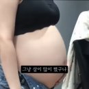 브이로그 보는데 임신 9개월까지 임신인줄 몰랐댐.... 쥬작이래 ; ㅠ 하 이미지